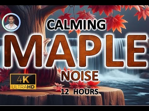 Calming Maple Brown Noise | 12 Hours BLACK SCREEN | Study, Sleep, Tinnitus Relief & Focus