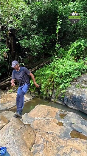 Gene Pool Forest Trekking😍