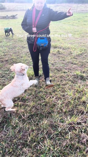 Are you wanting a career surrounded by dogs? Want to know what dog trainer school is actually like? Check out the link in bio for more information on becoming a professional dog trainer with Good Dog Academy! #dogsofttiktok #gooddogacademy #pdt #dogtrainerlife #professionaldogtrainer