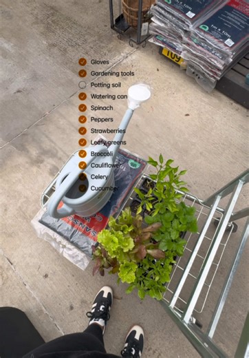 Starting a Balcony Garden: Episode One