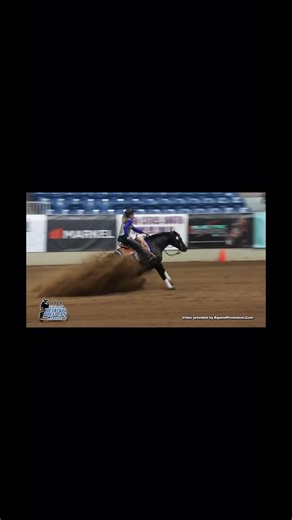 Comparing Horse Reining: 2021 vs 2025