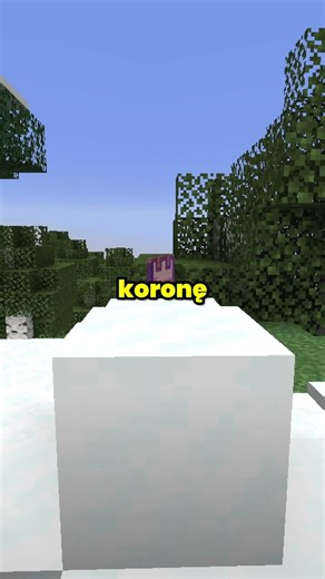Ten gracz miał najlepszy start #server #minecraft