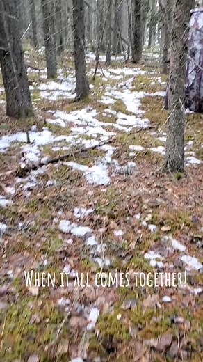 ddwildhunts on TikTok