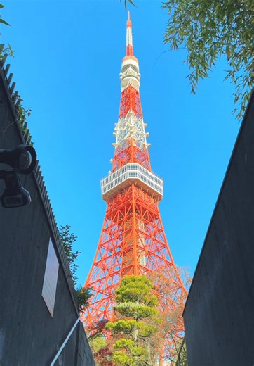 東京タワー: 人気スポットの魅力と訪問のタイミング