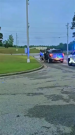 Expert K9 Training Techniques for Dogs