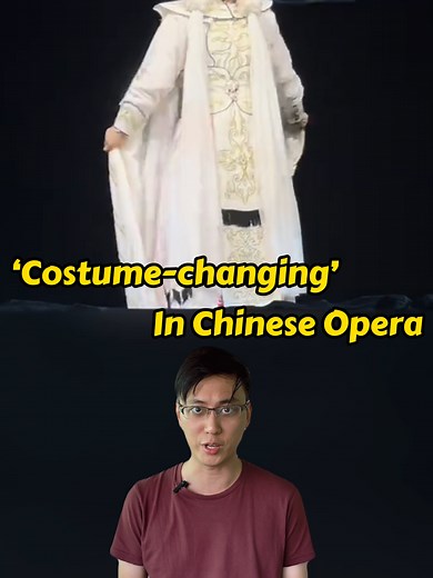 A Chinese Translator on TikTok