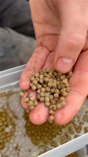 Looking for those extra winter bites? Get on 2mm Pro Expanders! | Kieran Marsden