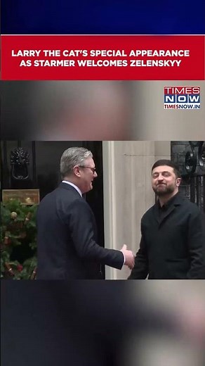 London: Starmer Hosts Zelenskyy In Downing Street, Larry The Cat Makes Special Appearance #shorts