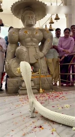 Jai naag dev 🔱🌏 #shorts