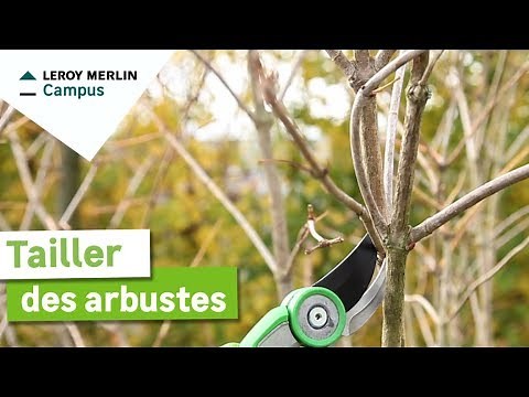 Comment tailler les arbustes ? Leroy Merlin