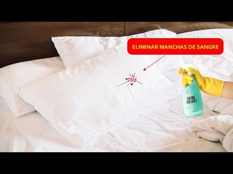 Goodbye bloodstains! The 5 best tricks for your clothes