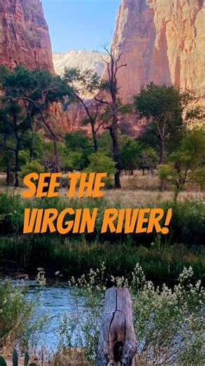 See the Virgin River! Zion Canyon Utah