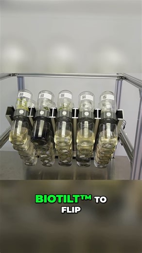 Plant Cell Technology on Instagram: "Imagine managing your plant tissue culture lab from anywhere in the world! With our fully automated BioTilt™ system, you can schedule and adjust your bioreactor settings right from your phone. Whether you’re at home or on vacation, all you need is a Wi-Fi connection to ensure your cultures are thriving under optimal conditions. Why choose BioTilt™ and Biocoupler™? ✅ Automated Efficiency: Program the BioTilt™ to flip every 6 hours for one minute or customize t