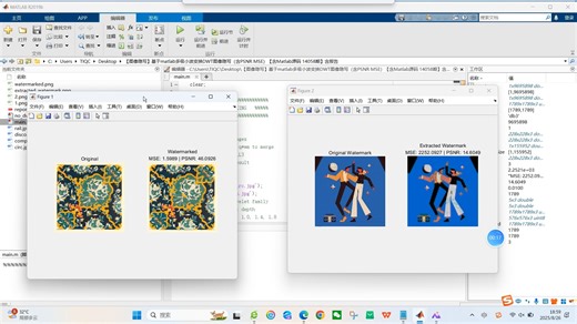 【图像隐写】基于matlab多级小波变换DWT图像隐写（含PSNR MSE）【含Matlab源码 14058期】含报告