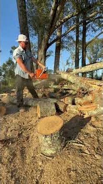 Hand splitting Water Oak Red Oak 8lb #firewood #oak #fyp #husqvarna #louisiana