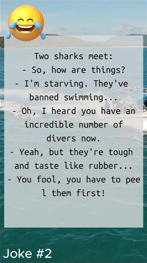 joke#2 These sharks are so funny 😄🦈🤣 #humor #laugh