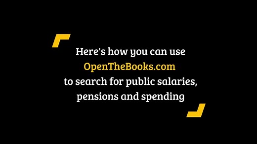 13K views · 168 reactions | OpenTheBooks.com captures nearly 4 billion public expenditures in all 50 states. Here’s how you can use our website to check these expenditures: | Open The Books | Facebook