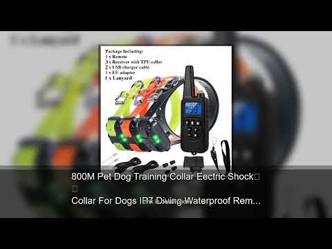 800M Pet Dog Training Collar Eectric Shock Collar For Dogs IP7 Diving Waterproof Remote Control