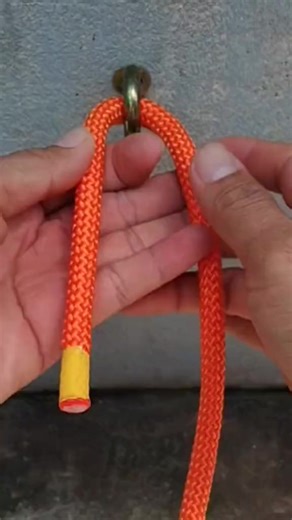 Can anyone tell the real purpose of this tool? . . #shortsvideos #tools #toolsofthetrade #toolsofTitans #toolshed #toolsday #toolstoliveby #toolsforsuccess #toolshop #toolset #toolsforpainters #toolsforlife #toolsnottoys #toolstorage #toolstothrive #ToolsForHope #toolsteel #toolsshk #toolsmurah #toolss #toolsforliving #toolsoftrade #toolsthatworkforyou #toolslovers #toolsofmytrade #TOOLSBAG #toolsforgents #toolsforkids #toolsforthetrade #toolsaremeanttobeused #toolsforleaders | Intro Cooking