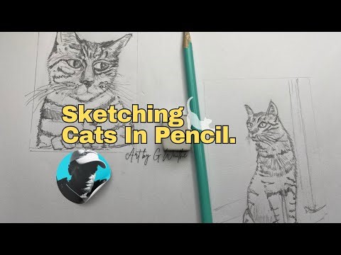 How to sketch cats, even as a beginner. 🐈 #art