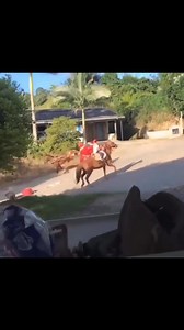 Y ahora mi regalo…!! #edilvlogs | Edil Vlogs