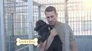 2.9K views · 321 reactions | Today on Lucky Dog, Brandon McMillan thinks Estella, a five-month-old “mystery mutt,” could be the perfect fit for a former Lucky Dog family looking to adopt a second dog! | Lucky Dog | Facebook