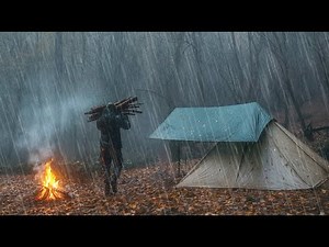 Rain and Camping in the Forest | Relaxing Rain & Campfire Sounds