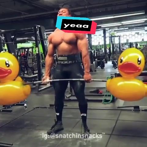 larry ruedas chicos!!!😡#gym #gymtok #larrywheels #powerlifting