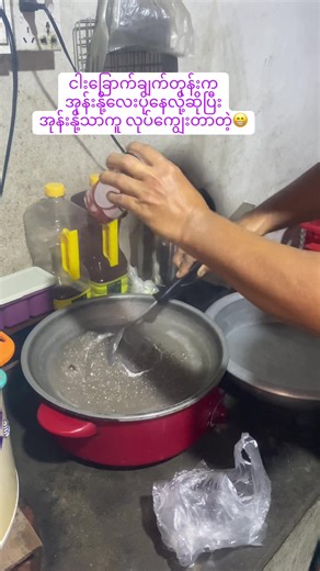 Delicious Coconut Milk Dishes to Try at Home