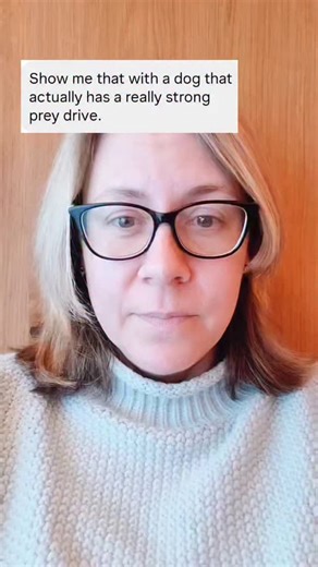 Simone Mueller | Prey-Drive Dog Trainer on Instagram: "“Show me without a leash.” “What if they really take off?” “What about multiple dogs?” “This doesn't work with high prey-drivedogs.” I see comments like these all the time. So here you go. This is my client and Certified PST Instructor Christine from @nom_d1_ecureuil from Switzerland, working her four high-drive dogs — a mix of GSD, Nordic breeds and wolfdog. Off leash. Multiple dogs. Three deer fleeing. A clean recall. This is not luck. Thi