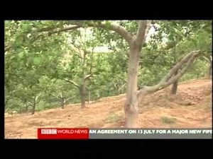 Nature Inc - Standing Profits 2 of 2 - Forest Conservation - BBC Environmenal Documentary