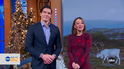 Meet the Indigenous people herding reindeer in Norway, Finland and Sweden