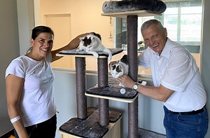 Viele helfende Hände für Tiere im Pinzgau: Tierheim in Bruck ist voller Erfolg