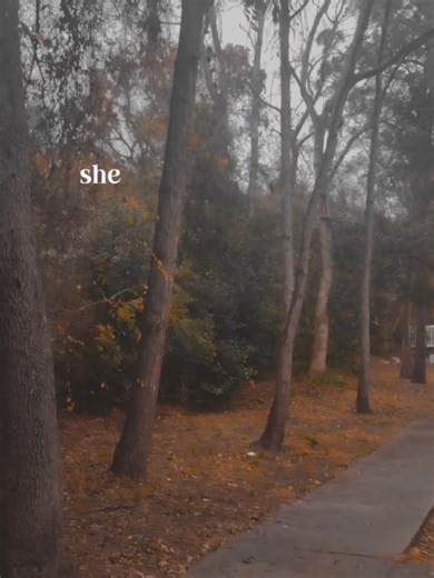The most dangerous woman is the woman that picked herself up by herself. #healingjourney #childhoodtrauma #dvsurvivor #trauma #fyp