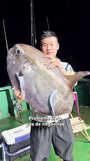 This fish feels no pain, cannot escape…