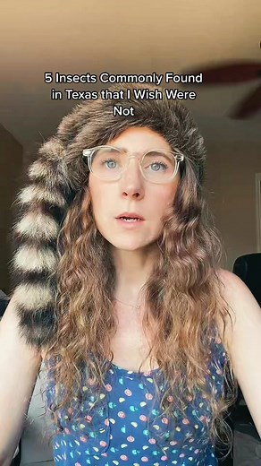 Top 5 Unwanted Texas Insects You Should Know About