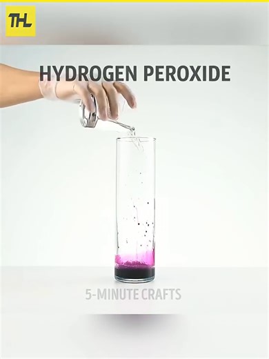 Explore Fun Science Tricks to Wow Your Friends