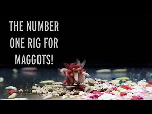 How To Tie The Ultimate Winter Carp Fishing Rig | Tutorial