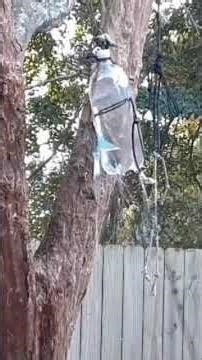 blade training throwing blade ☯️✌️