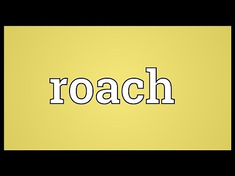 Roach Meaning