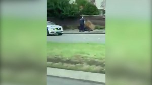 This is the moment New Zealand police capture mosque shooting suspect