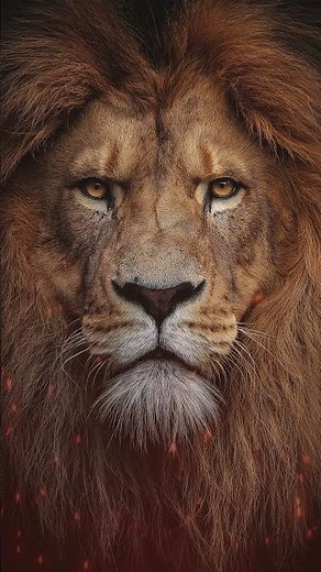 REST IN SPIRIT | Prophetic Instrumental Worship Flow