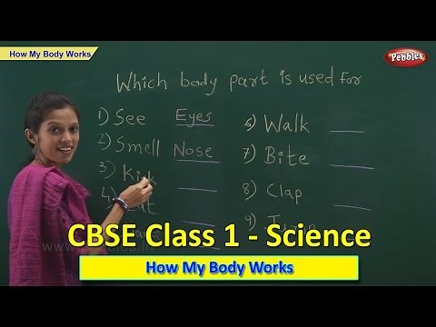 How My Body Works | Class 1 CBSE Science | Science Syllabus Live Videos | Video Training