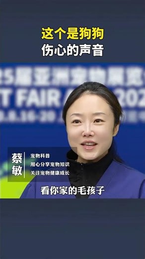 The Heartbreaking Bark of a Newbie Dog Owner: A Must-Watch for Dog Lovers