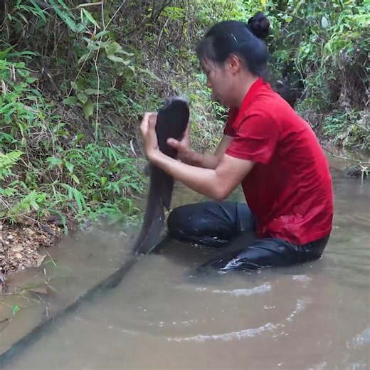 Harvesting Hybrid Catfish Goes to the market sell, Daily Life | Black Tea