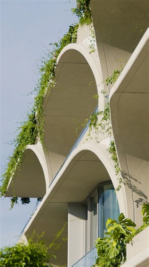 3.5K views · 18 reactions | CANVAS by GRAYA™ Defined by its...