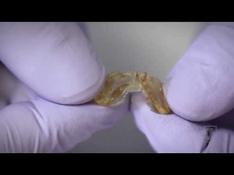 Self Healing Polymers Demo: Elastic Polymers Heal at Molecular Level After Cut