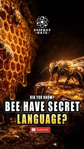 Bees Use a Secret Dance 😮