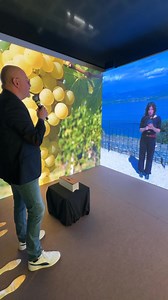 38K views · 713 reactions | L’IDEA PIÙ ORIGINALE PRESENTATA AL VINITALY: IL LUGANA IN FIERA RACCONTATO… DAL LUGANA! Quando comunicare significa davvero creatività ed emozione! Solo un consiglio: il senso del video e quindi di questa esperienza si coglie solo guardandolo tutto, non fermatevi prima... By Bentobox.pro Consorzio Tutela Lugana DOC | Stefano Cantiero | Facebook