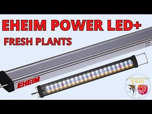 EHEIM POWER LED + pantalla para acuarios con plantas muy resistente al agua y buena potencia